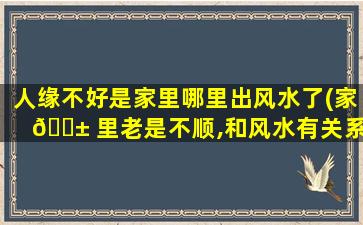 人缘不好是家里哪里出风水了(家 🐱 里老是不顺,和风水有关系吗)
